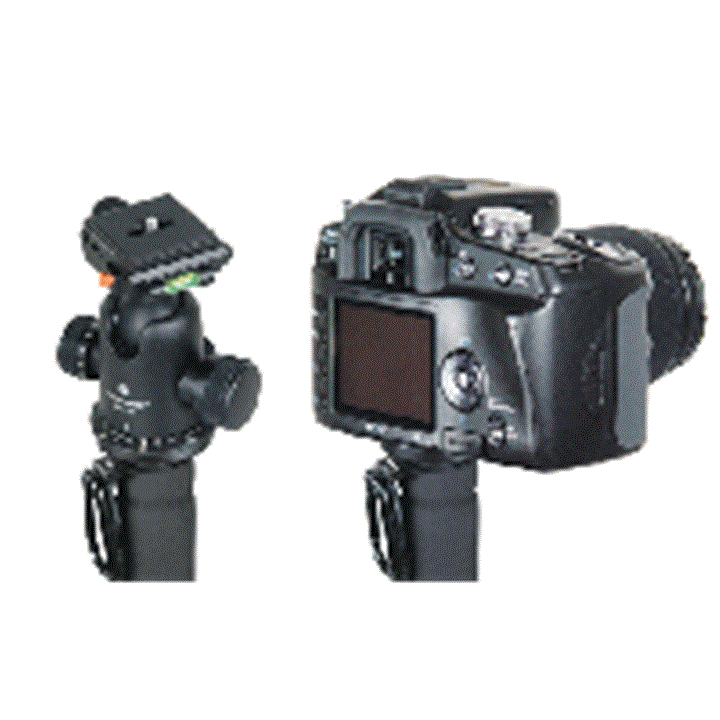 ΜΟΝΟΠΟΔΑΣ VANGUARD TRACKER AP-324