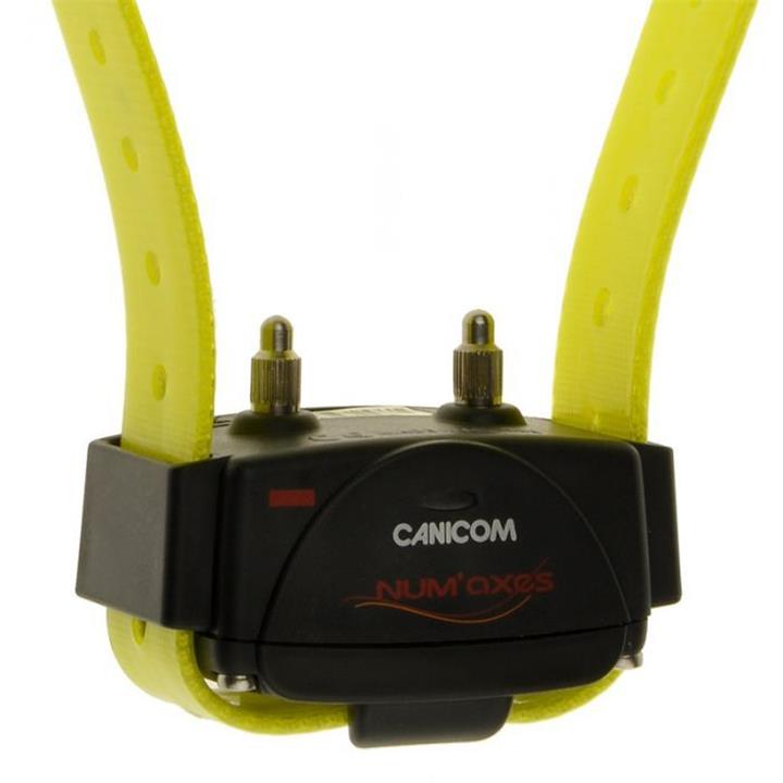 ΑΝΤ/ΚΟ ΚΟΛΑΡΟ NUMAXES